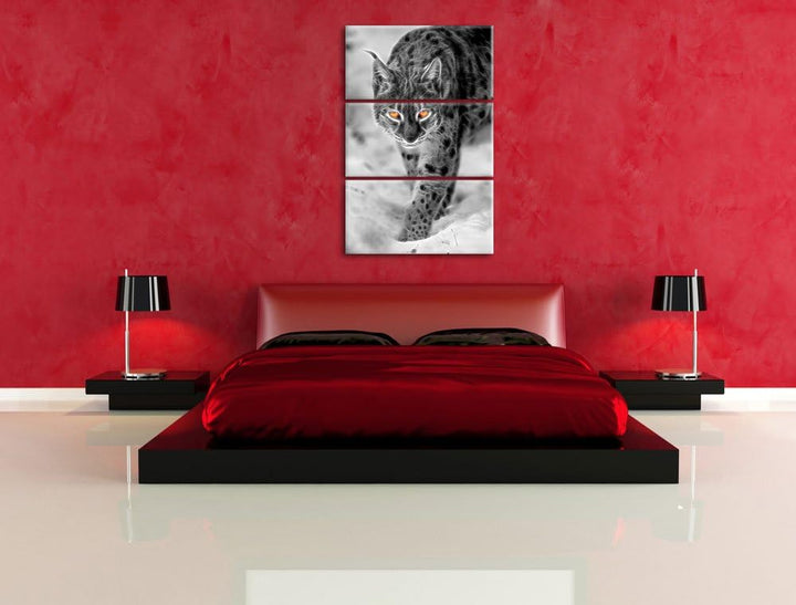 wachsamer Luchs im Schnee schwarz/weiss Deluxe 3-Teiler Leinwandbild 120x80 Bild auf Leinwand, XXL r