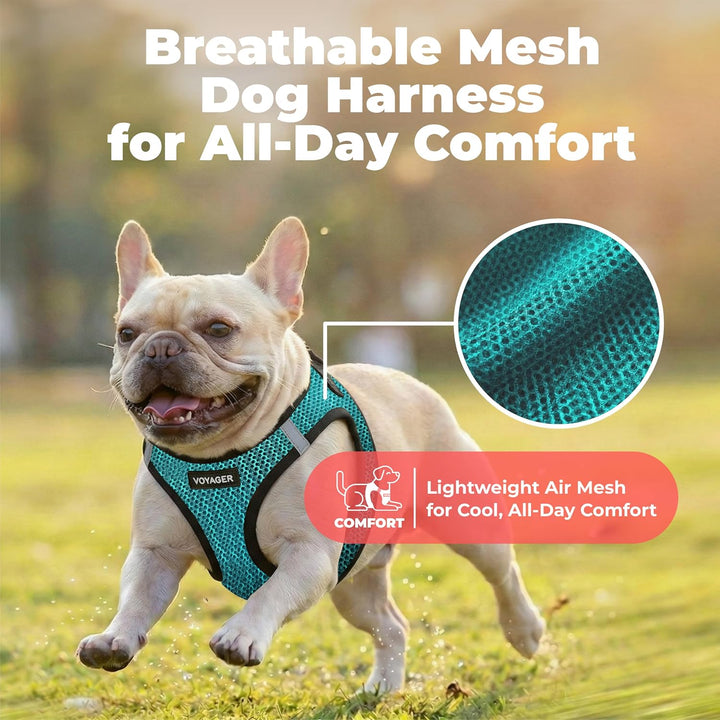 Best Pet Supplies Voyager Step-In Air Hundegeschirr - Allwetter-Mesh-Geschirr für kleine und mittelg