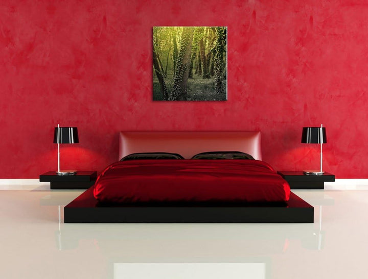 Pixxprint Efeuranken wachsen an Bäumen schwarz/weiss, Format: 70x70 auf Leinwand, 70x70