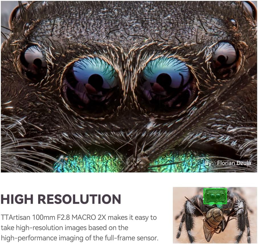 TTArtisan 100 mm F2.8 Makro 2X Metallgehäuse Objektiv mit Kaltschuh-Halterung, kompatibel mit Canon