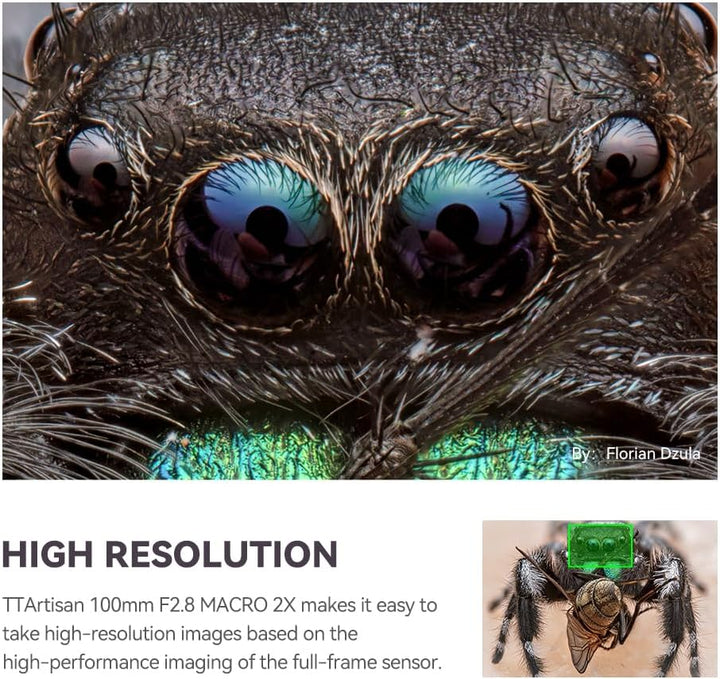 TTArtisan 100 mm F2.8 Makro 2X Metallgehäuse Objektiv mit Kaltschuh-Halterung, kompatibel mit Canon