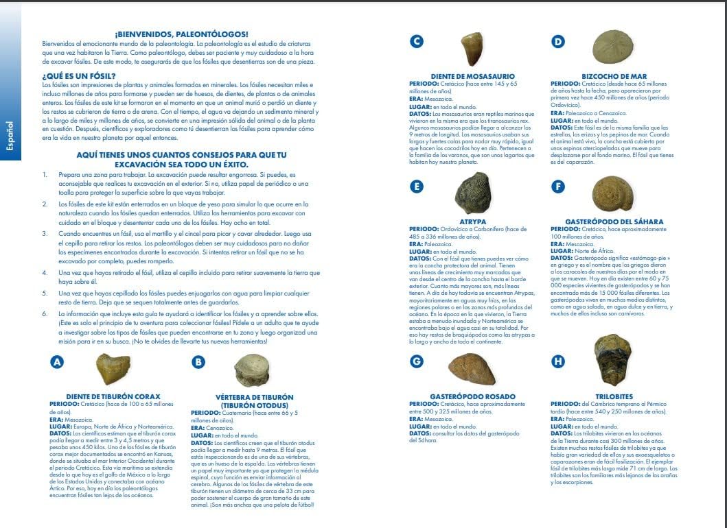 Learning Resources GeoSafari Fossilien-Ausgrabungsset