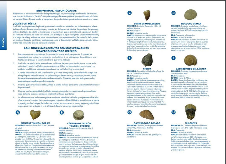 Learning Resources GeoSafari Fossilien-Ausgrabungsset