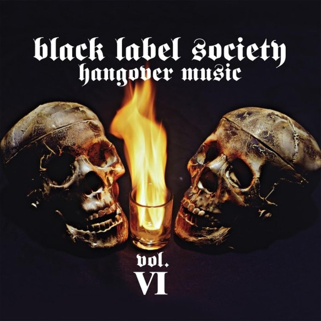 Hangover Music Vol.6, Vinyl