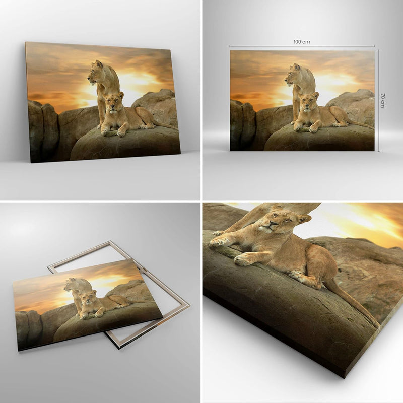 Bilder auf Leinwand 100x70cm Leinwandbild Löwen Sonnenuntergang Felsen Krallen Gross Wanddeko Bild S