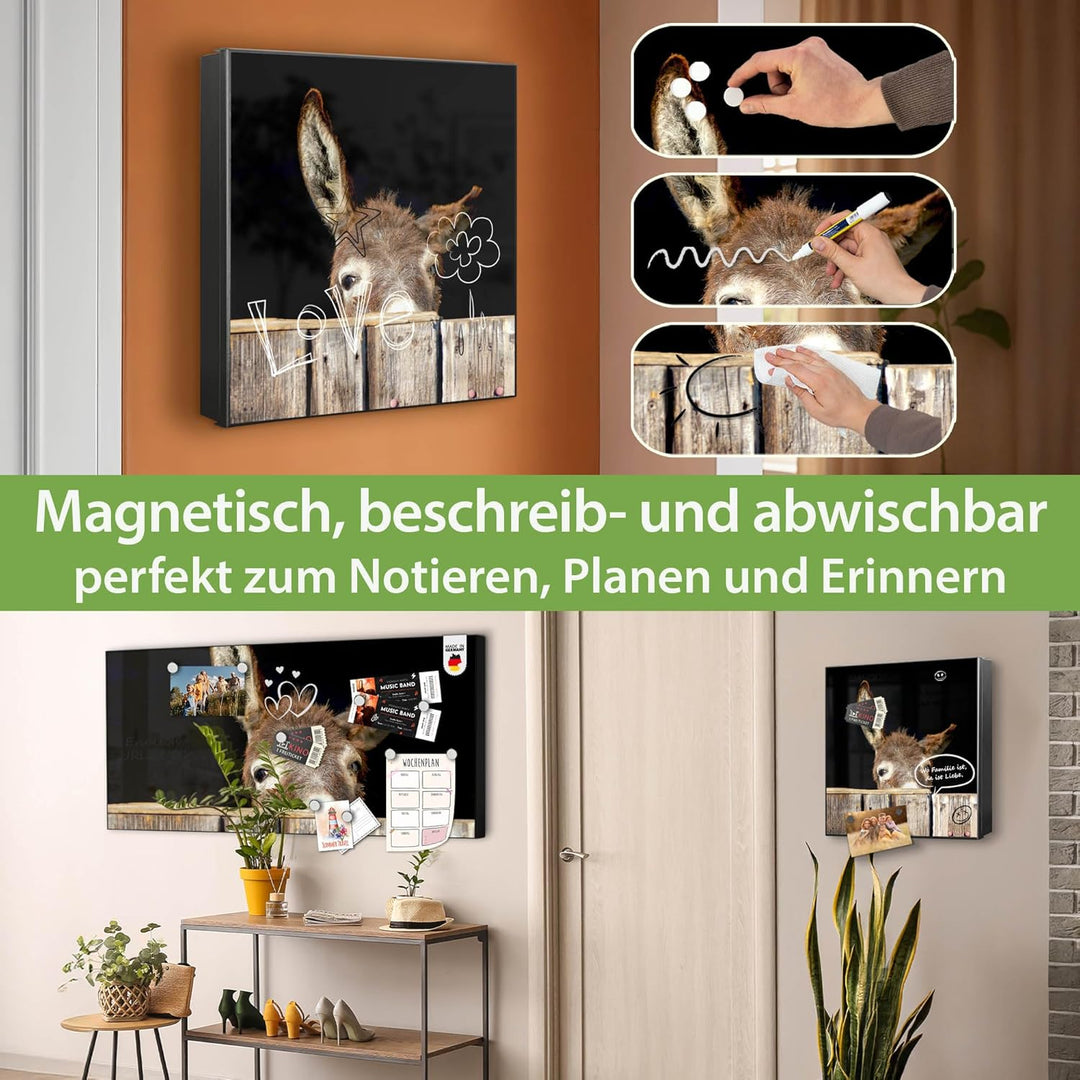 banjado® Grosser Schlüsselkasten Glas/Schlüsselbox 30cm x 30cm mit 50 Haken - Motiv Esel/Schlüsselka