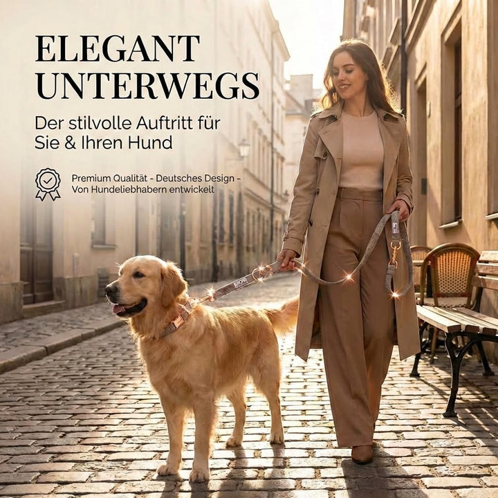 FREUDENTIER® Hundehalsband und Hundeleine im eleganten Set - 2m Leine, 3-Fach verstellbar - Robust &amp;