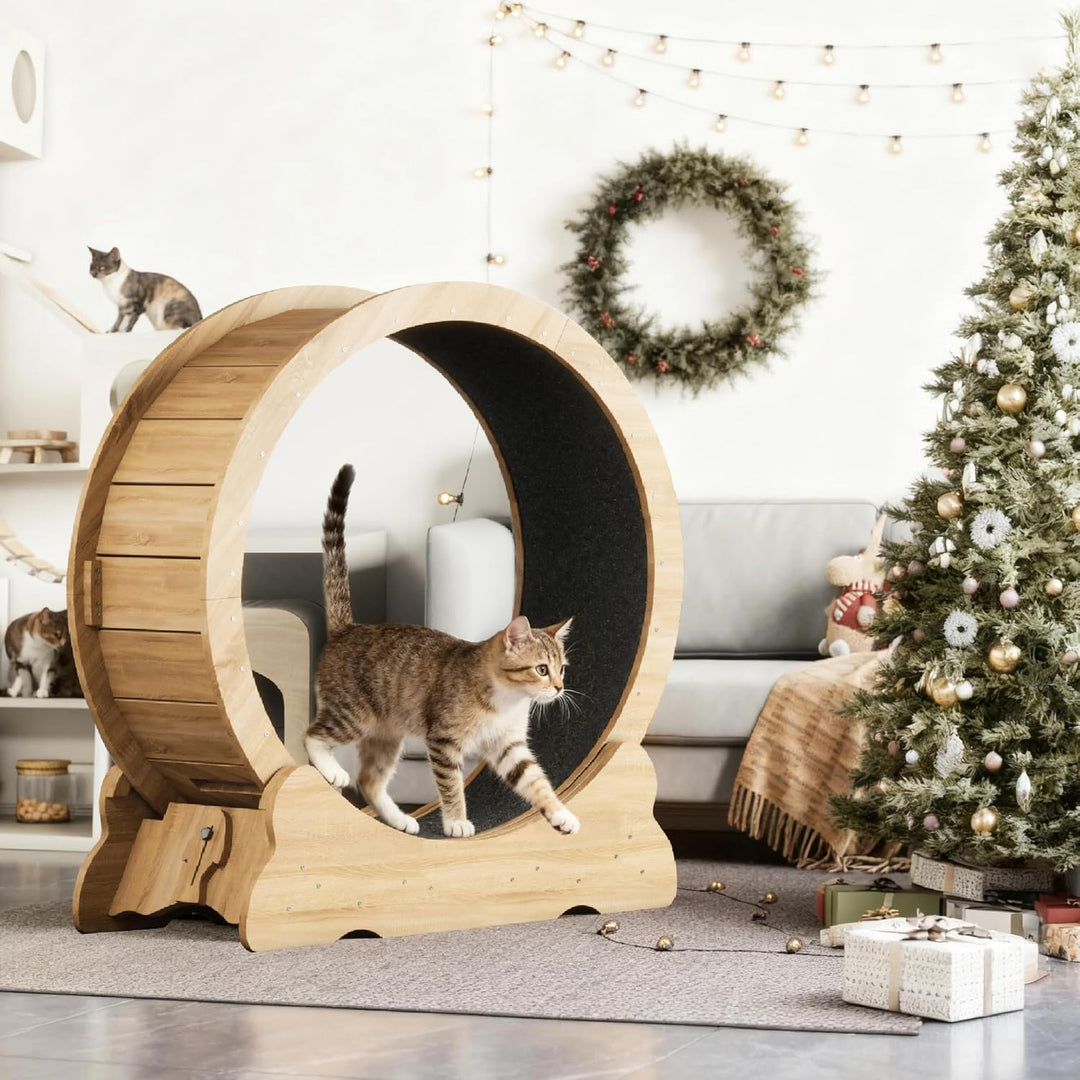 Mondeer Katzenlaufrad, 90cm Laufband mit Abnehmbaren Teppichboden für Indoor Katzen, für Kleines Mit