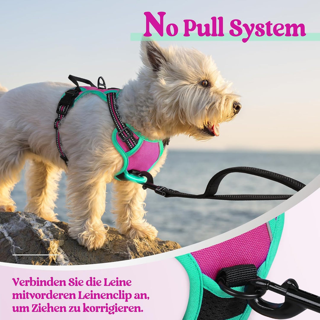 rabbitgoo Hundegeschirr Mittelgrosse Hunde, Anti Zug Geschirr mit Kontrolle, No Pull Verstellbar Hun