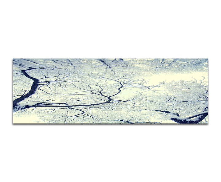 Paul Sinus Art Panoramabild auf Leinwand und Keilrahmen 150x50cm Wald Bäume Schnee Winter