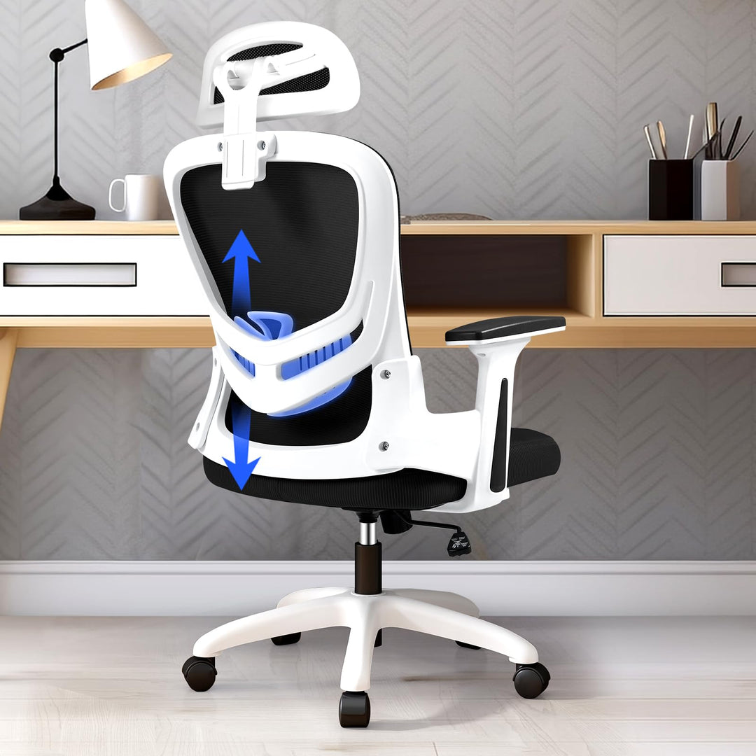 LEVIPE Ergonomischer Bürostuhl mit Lendenwirbelstütze, verstellbare Rückenlehne und Kopfstütze, vers