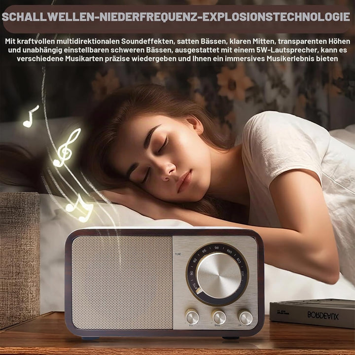 Retro Radio mit Bluetooth, Nostalgie Radio mit 1500mAh Akku wiederaufladbar, USB/TF-Karte/AUX, 5W La