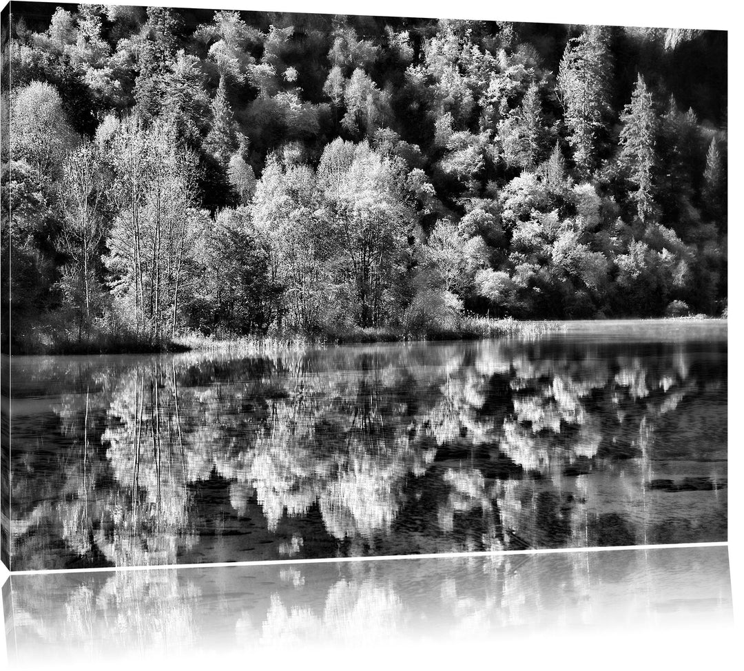 Pixxprint Monocrome, herbstlicher Wald am See, Format: 100x70 auf Leinwand, 100x70