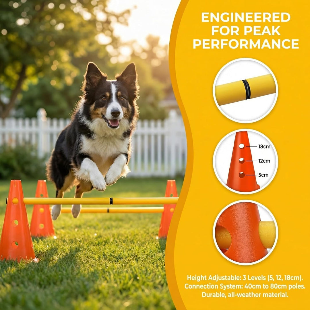 5er Sports Steckhürdenset Cavaletti Agility Set Hunde Hürden Steckhürdenset 10 Kegel 23cm + 5 Stange