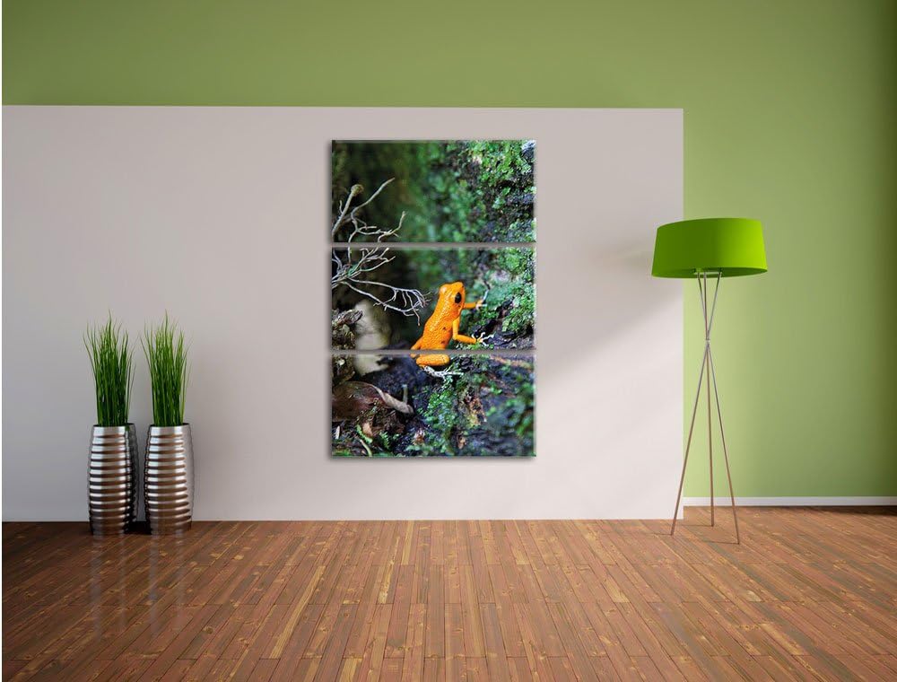 Pixxprint hochgiftiger Kleiner Frosch als Leinwandbild/Grösse: 3 Teilig (120x80) cm/Wandbild/Kunstdr