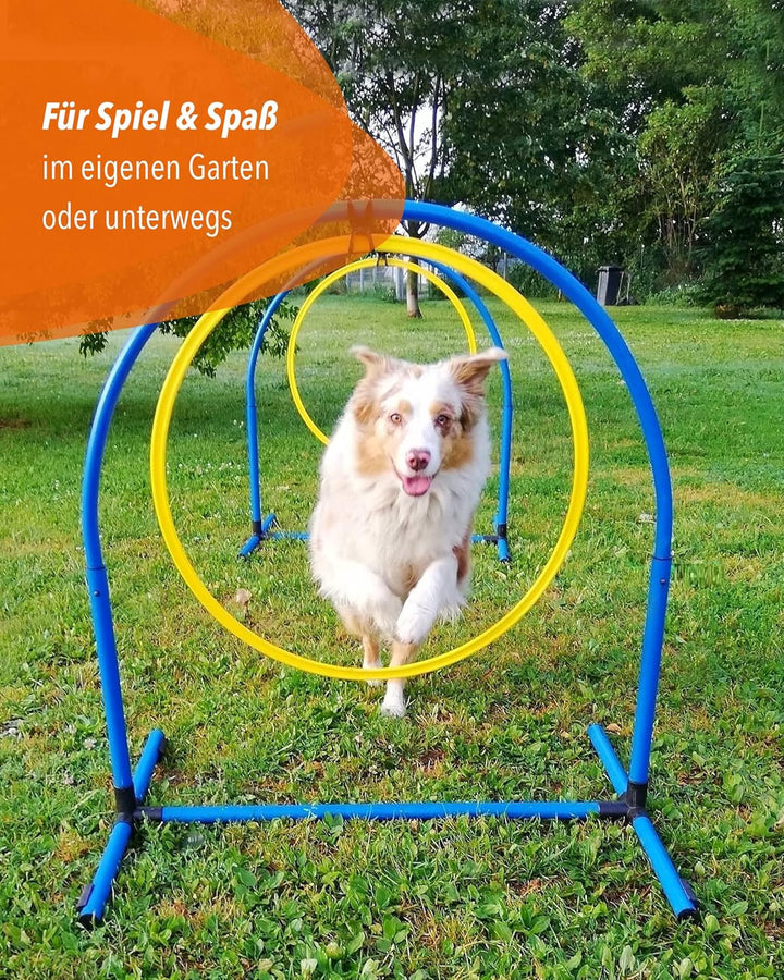 Hoopers Hoop mit Ring 70 – Agility Hoopers Reifen für Hundetraining – Hoop Orange/Sprungring Blau