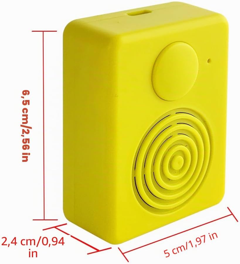 16 MB Diktiergerät mit Lautsprecher, unterstützt Bluetooth und Mikrofonaufnahmen,16 Minuten einfache
