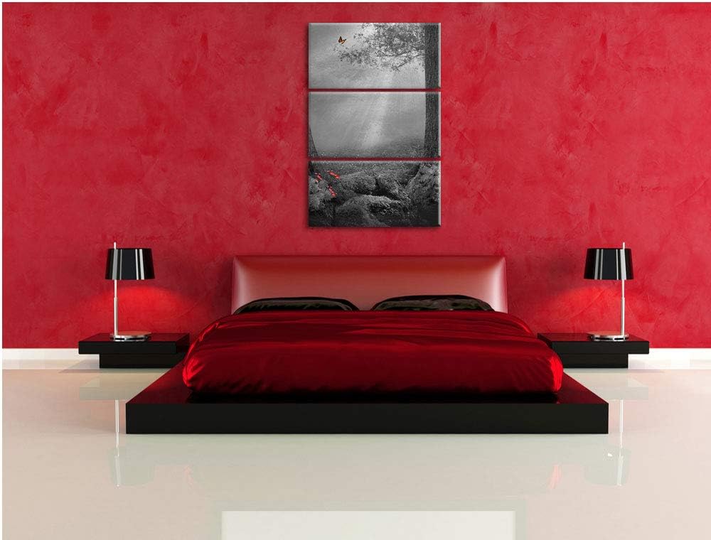 Märchenwald mit Schmetterling schwarz/weiss 3-Teiler Leinwandbild 120x80 Bild auf Leinwand, XXL ries