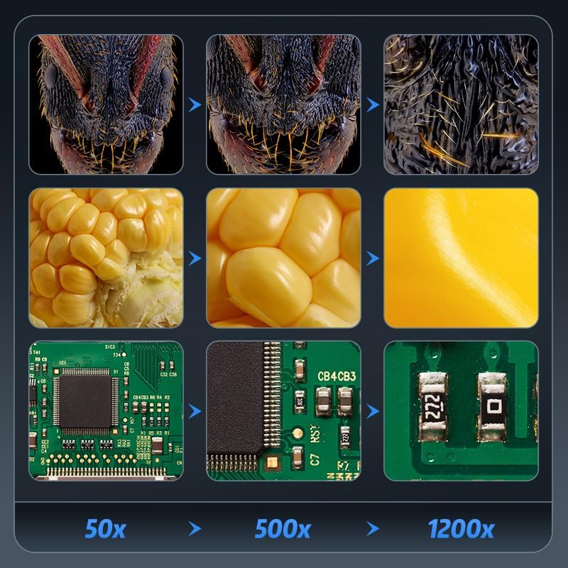 Ashfly LCD Digital Mikroskop für Münzen, 7 Zoll 1080P USB Mikroskop, 50X-500X Auflösung, Microscope