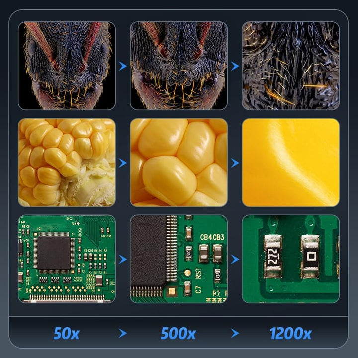 Ashfly LCD Digital Mikroskop für Münzen, 7 Zoll 1080P USB Mikroskop, 50X-500X Auflösung, Microscope