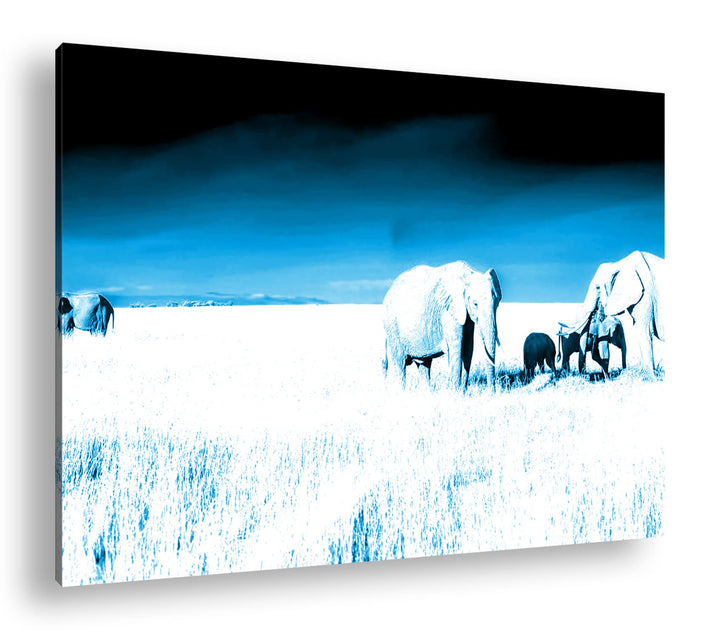 Elefanten in der Steppe von Afrika Format: 80x60 Effekt: Monocrome Blau als Leinwand, Motiv fertig g