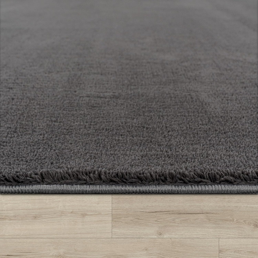 Paco Home Waschbarer Teppich Wohnzimmer Schlafzimmer Kurzflor rutschfest Flauschig Weich Moderne Ein