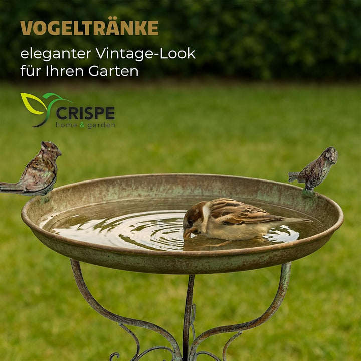 Crispe home & garden Vogeltränke Gijon | Antikgrüne Vogelbad Schale aus Metall | Wetterfeste Gartend