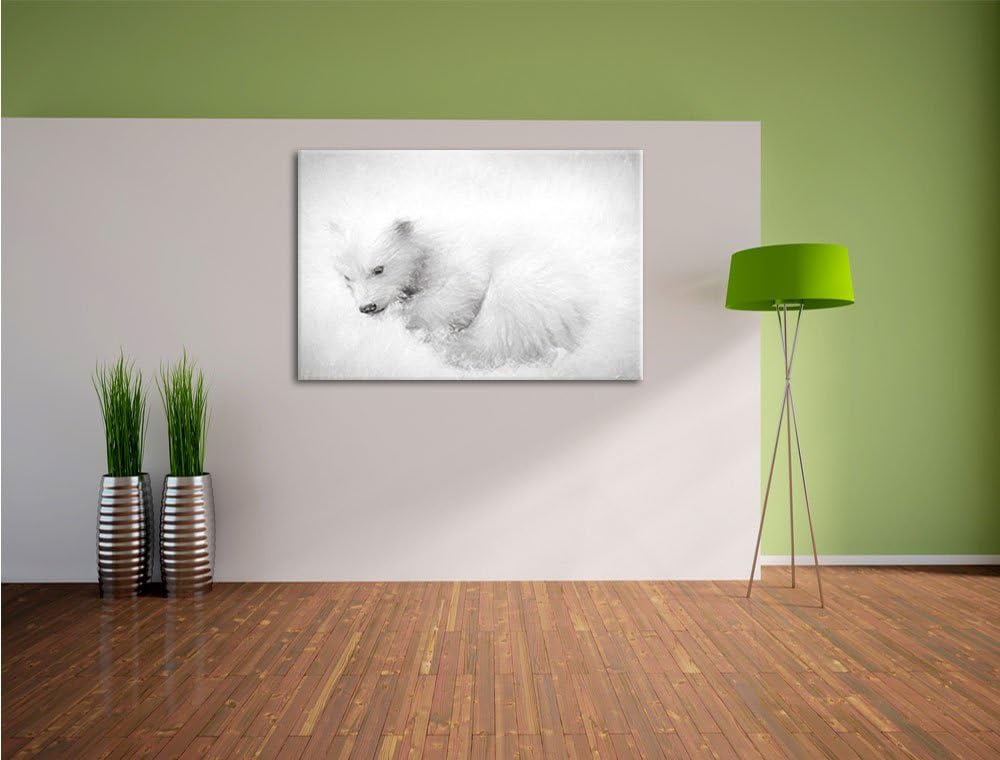 Pixxprint Eisbär im Schnee / 100x70cm Leinwandbild bespannt auf Holzrahmen/Wandbild Kunstdruck Dekor
