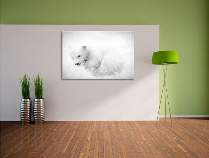 Pixxprint Eisbär im Schnee / 100x70cm Leinwandbild bespannt auf Holzrahmen/Wandbild Kunstdruck Dekor