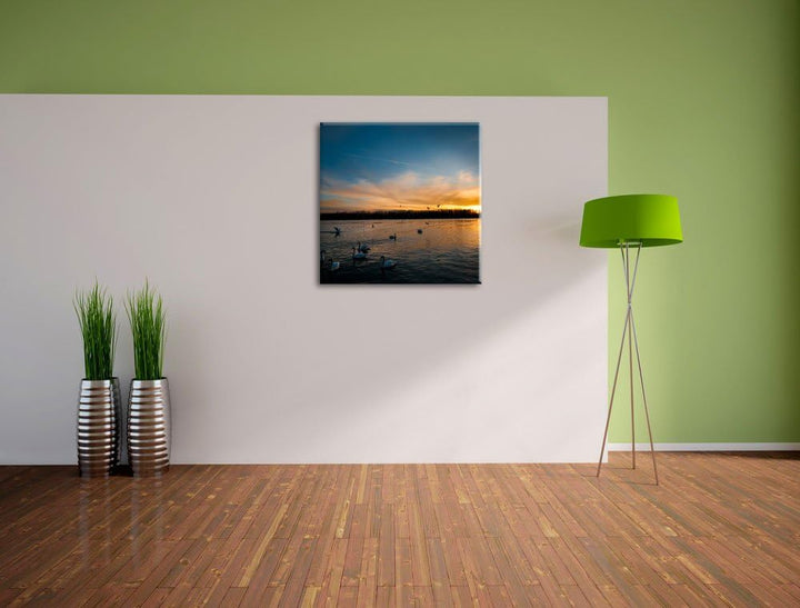 Schwäne im Sonnenuntergang, Format: 70x70 auf Leinwand, XXL riesige Bilder fertig gerahmt mit Keilra