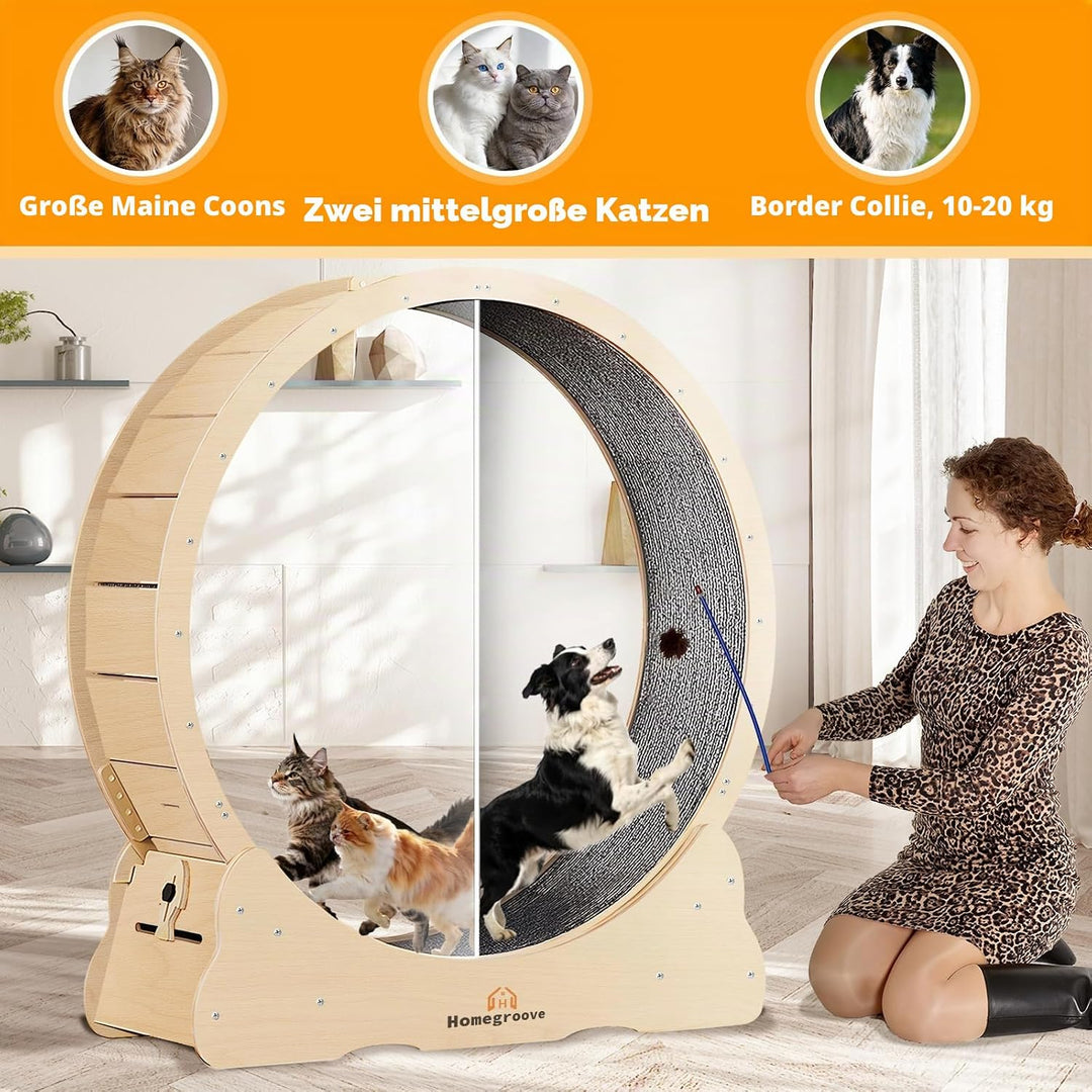 Homegroove XXXL Katzenlaufrad, 59 "/150cm Extra grosse Katze Übungsrad für Maine Coon &amp; grosse Katze