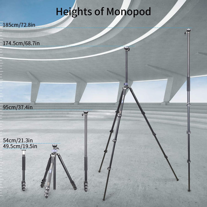 INNOREL MT70 Professionelles, multifunktionales, kompaktes Videostativ mit Fast Flip Buckle 360-Grad