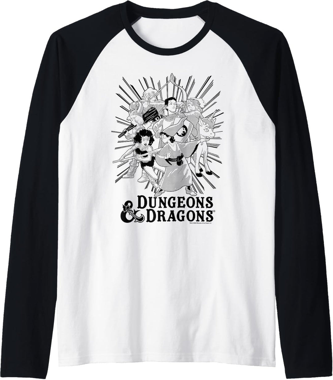 Dungeons &amp; Dragons Group Shot Dark Tones Raglan