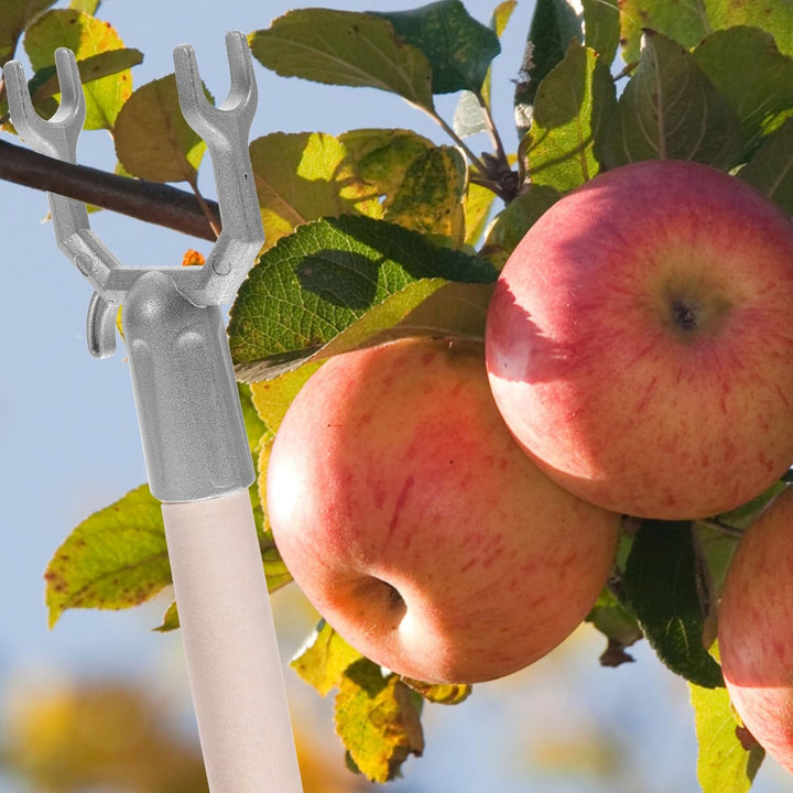 Yardwe 12 Stück Aststopfen Obstbaum Aststütze Baumständer Baumhalter Stützklammer Aluminiumlegierung