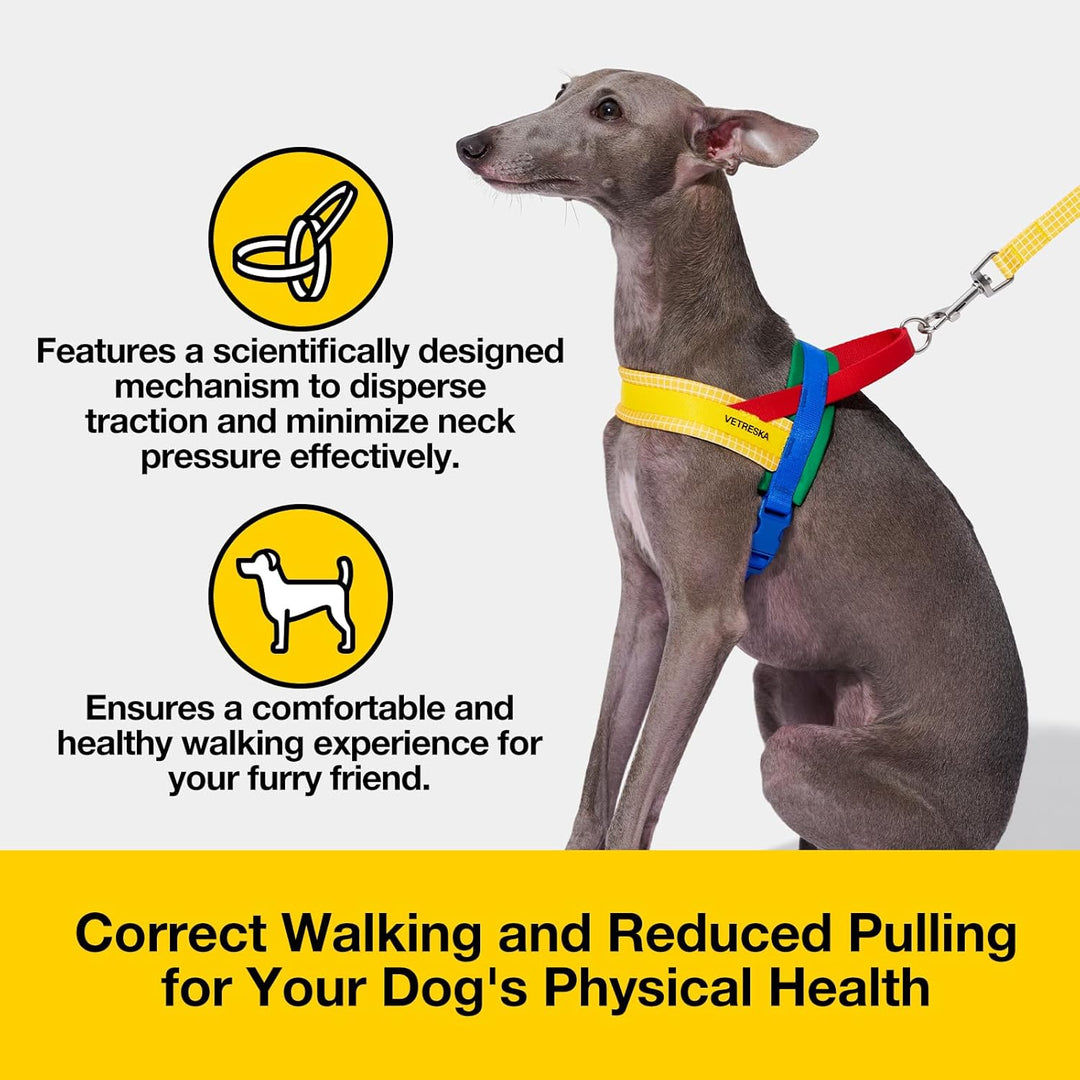VETRESKA No Pull Hundegeschirr für kleine Hunde, Easy Walk Hundegeschirr und Leine Set, Welpengeschi