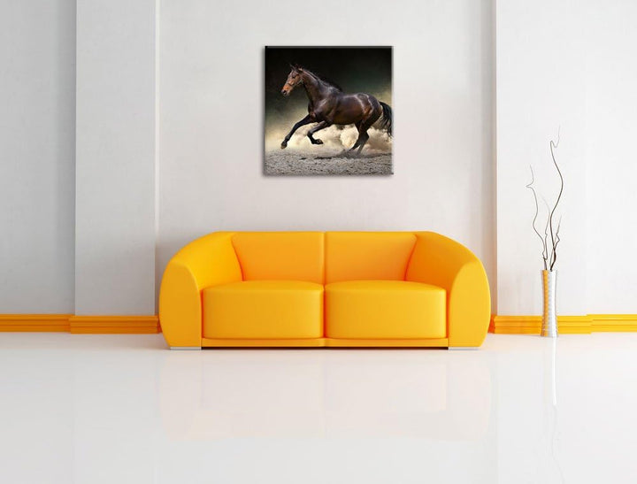 Anmutiges dunkles Pferd, Format: 70x70 auf Leinwand, XXL riesige Bilder fertig gerahmt mit Keilrahme