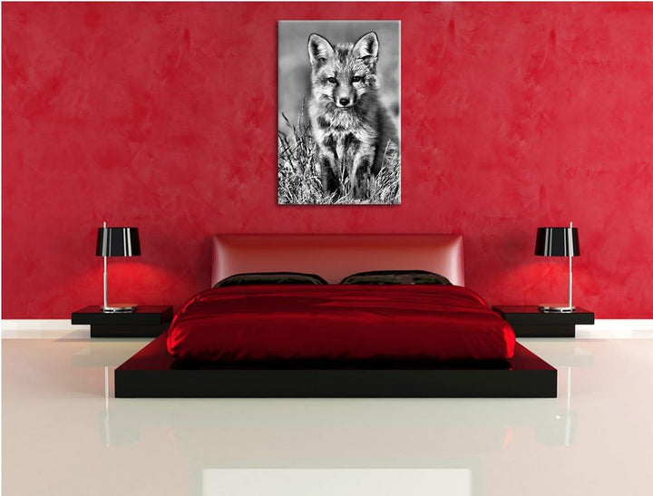 Pixxprint Kleiner Fuchs auf Wiese als Leinwandbild | Grösse: 100x70 cm | Wandbild | Kunstdruck | fer