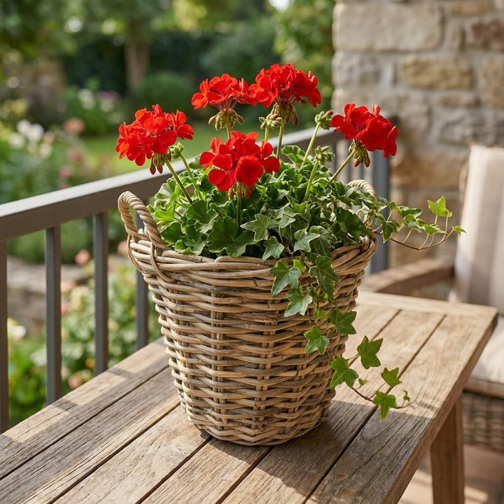 Rattankorb, Pflanzkorb "Rattan", gross mit Griffe ca. Ø 40 x 30 cm