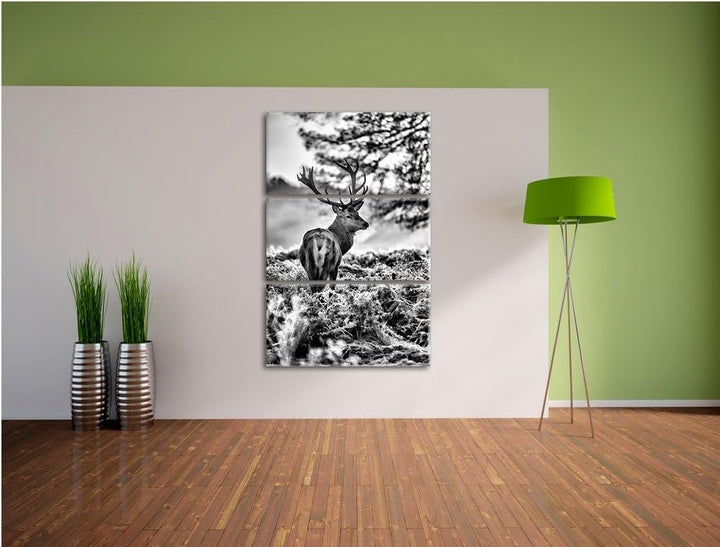 Pixxprint Hirsch im Wald als Leinwandbild/Grösse: 3 Teilig (120x80) cm/Wandbild/Kunstdruck/fertig be