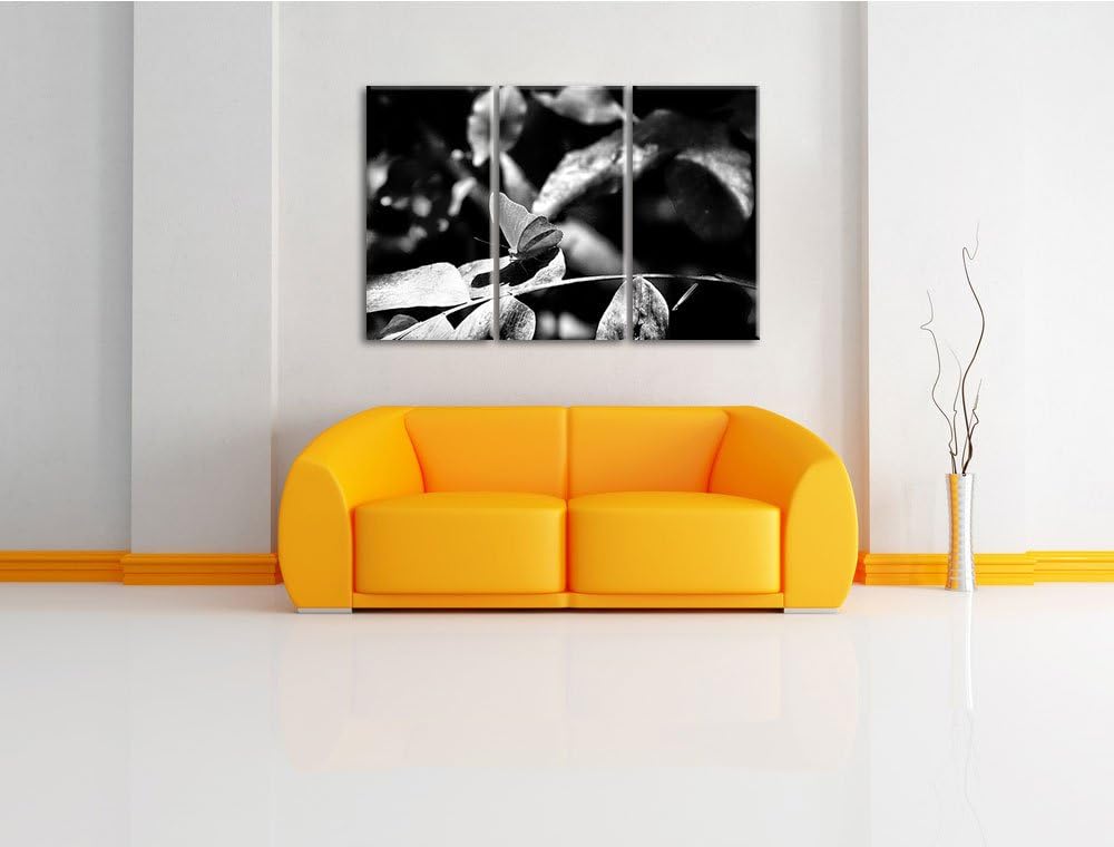 Pixxprint schöner Schmetterling sonnt Sich als Leinwandbild/Grösse: 3 Teilig (120x80) cm/Wandbild/Ku