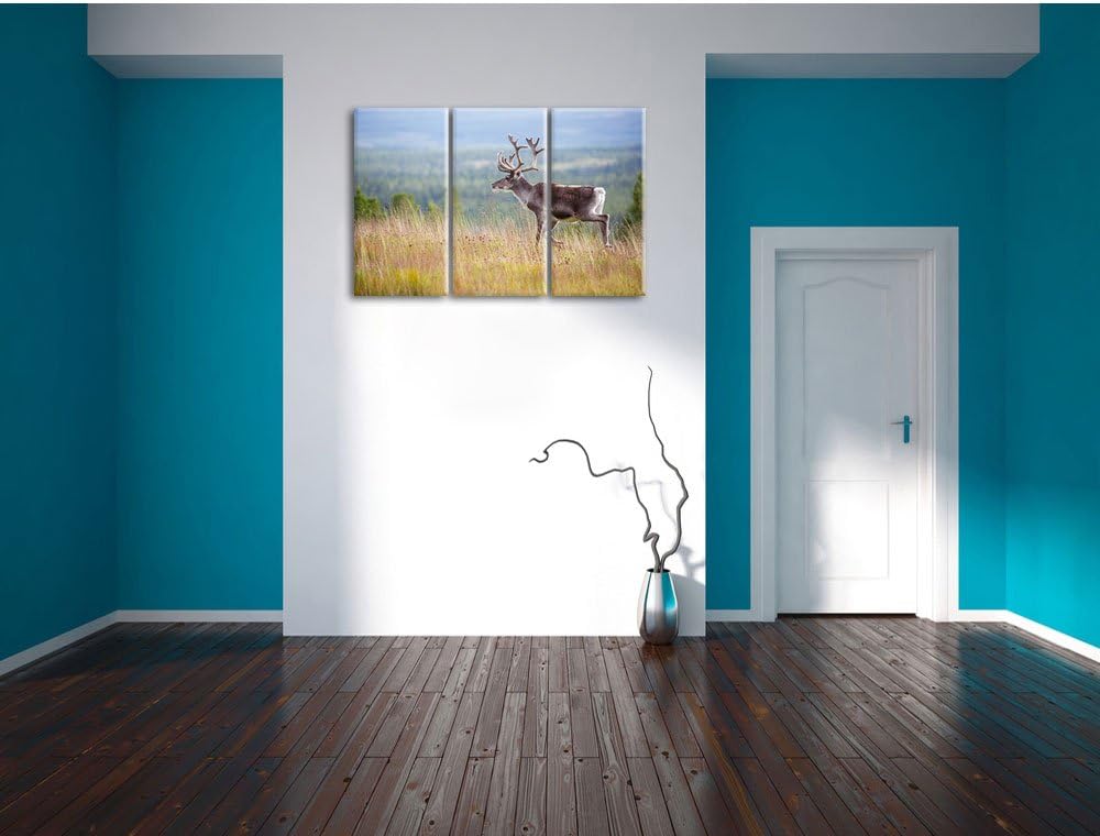 Pixxprint Rentier in Norwegen als Leinwandbild | Grösse: 3 Teilig (120x80) | Wandbild| Kunstdruck |
