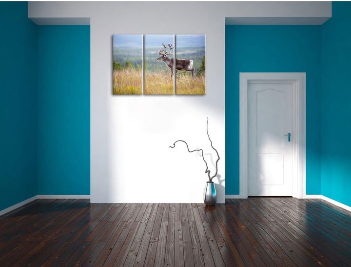 Pixxprint Rentier in Norwegen als Leinwandbild | Grösse: 3 Teilig (120x80) | Wandbild| Kunstdruck |