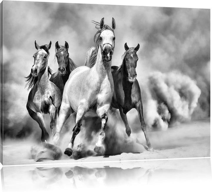 Pixxprint Western Pferde in Wüste als Leinwandbild/Grösse: 100x70 cm/Wandbild/Kunstdruck/fertig besp