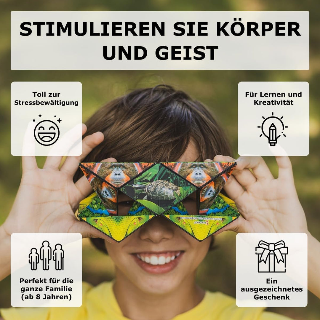 Shashibo Formwechsel-Box – Preisgekrönter, patentierter Zappelwürfel mit 36 Seltenerdmagneten – läss