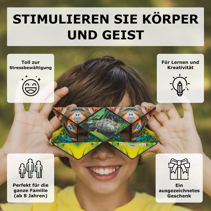 Shashibo Formwechsel-Box – Preisgekrönter, patentierter Zappelwürfel mit 36 Seltenerdmagneten – läss