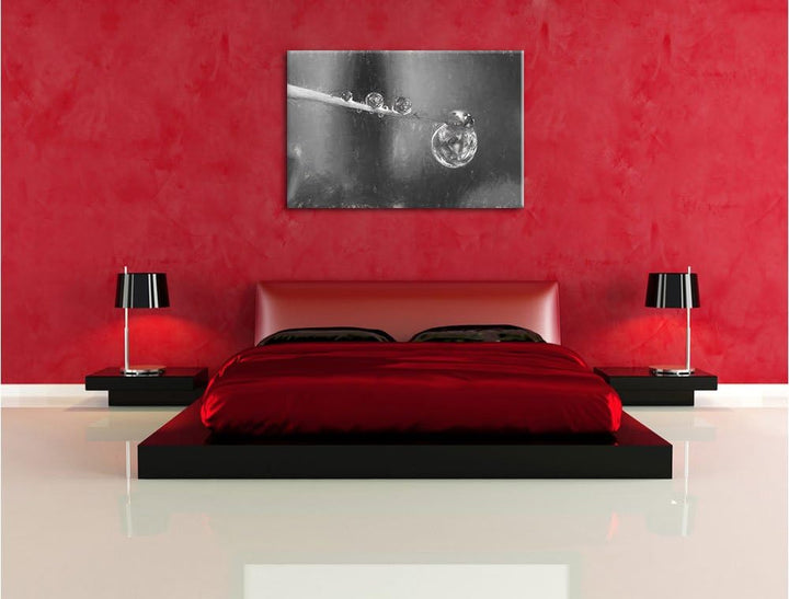 Pixxprint Marienkäfer als Leinwandbild/Grösse: 100x70 cm/Wandbild/Kunstdruck/fertig bespannt, 100x70