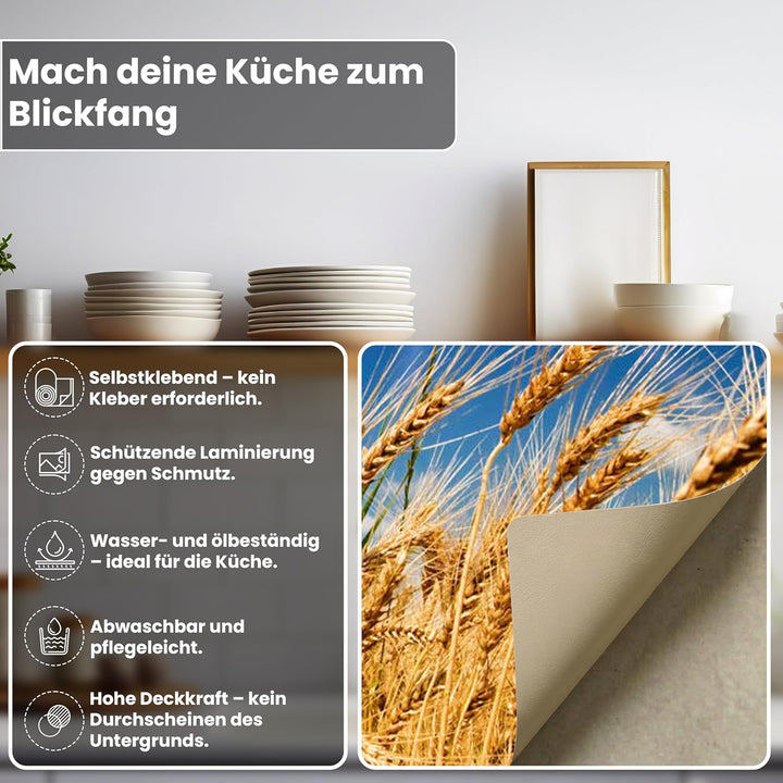DIMEX Küchenrückwand Folie selbstklebend WEIZENFELD | Klebefolie - Dekofolie - Spritzschutz für Küch