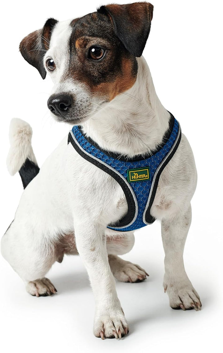 HUNTER HILO COMFORT Geschirr für kleine Hunde mit Netzmaterial und reflektierenden Elementen, blau,