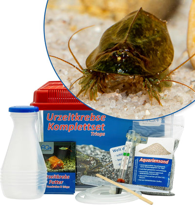 Triops cancriformis simplex Starterset: Urzeitkrebse Eier, 2,5 l Aquarium, Zubehör, Futter und Anlei