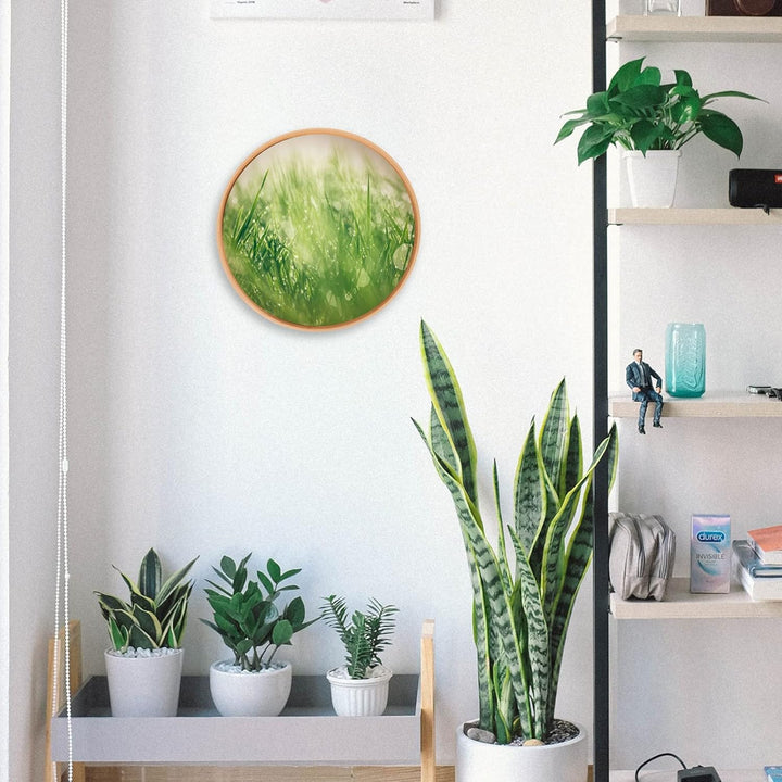 FOMIYES Runder Wand-Bilderrahmen aus Holz, 35 cm, DIY-Gemälde, Ausstellungsrahmen, runder Bilderrahm